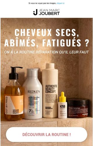 Email Jean Marc Joubert : SOS cheveux secs